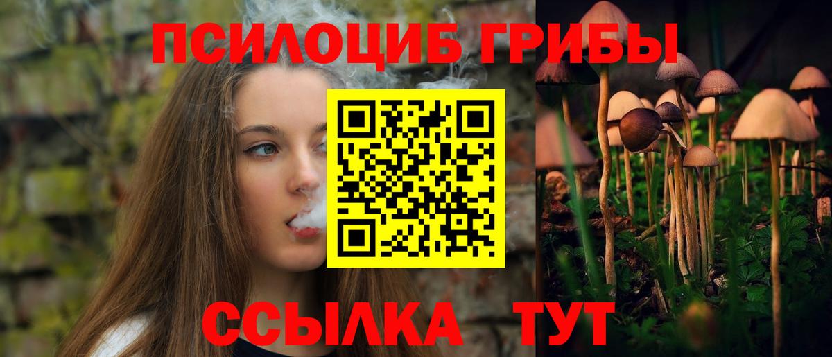купить   Псилоцибиновые грибы мухоморы  Вход с VPN  Калининград 